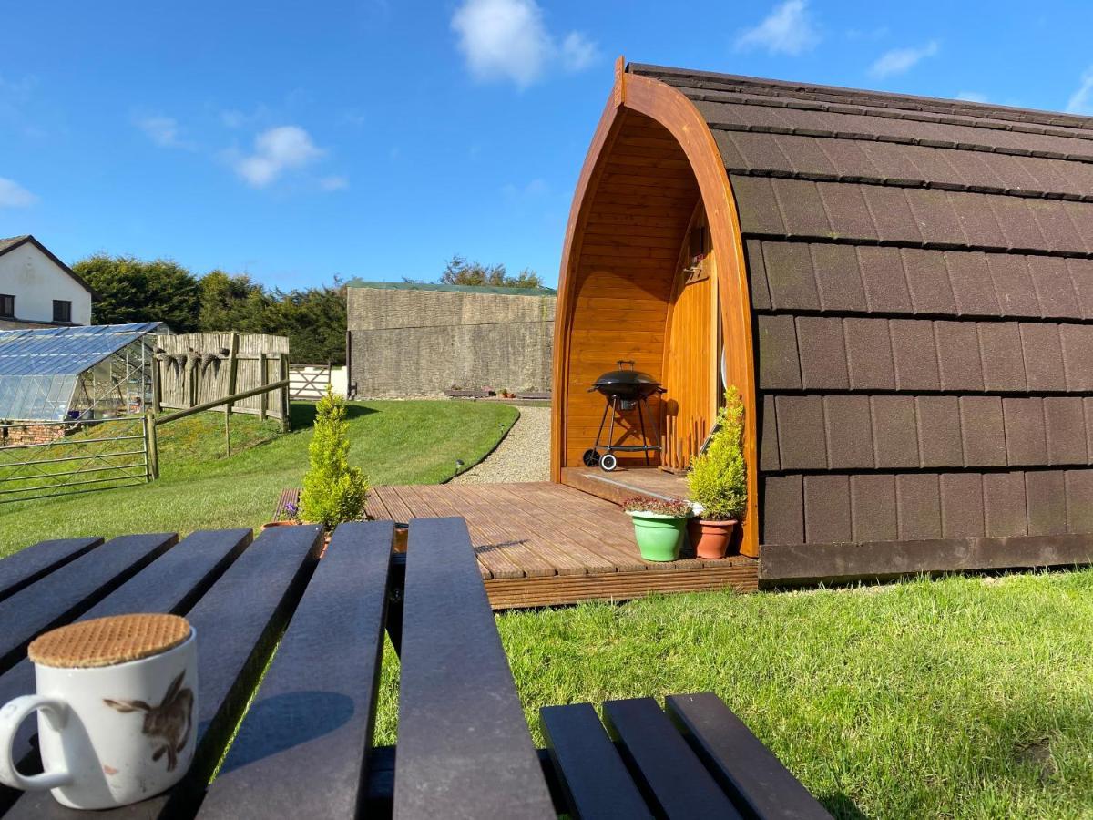 Garden Cottage Glamping Pod Boncath Exterior foto