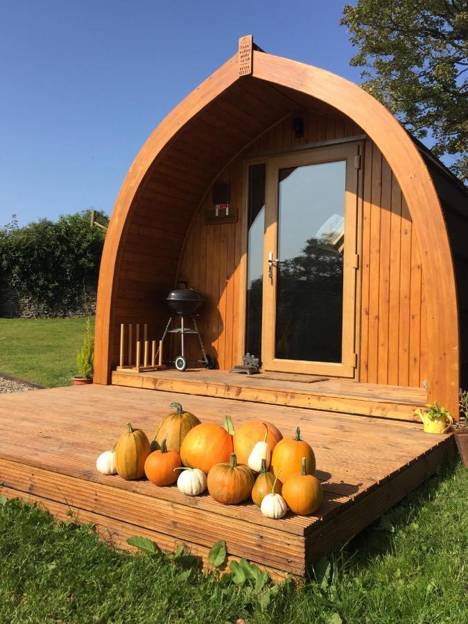 Garden Cottage Glamping Pod Boncath Exterior foto